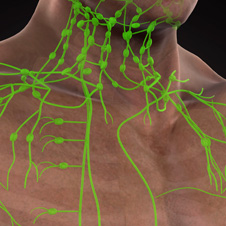 3D render of a man's chest