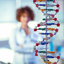 Possible Results of Genetic Testing